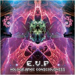 Holographic-Consciousness250